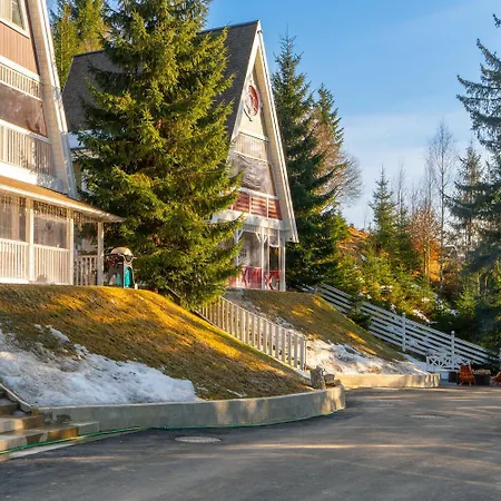 Villa Freeman-4 весь триповерховий для 10гостей Bukovel