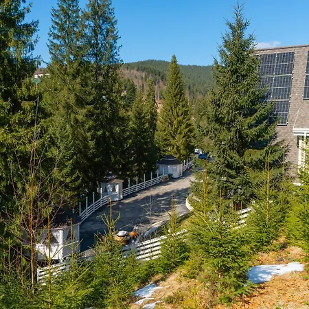 Villa Freeman-4 весь триповерховий для 10гостей Bukovel