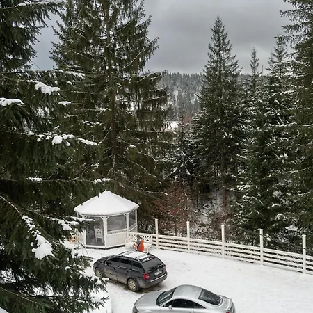 Villa Freeman-4 весь триповерховий для 10гостей Bukovel
